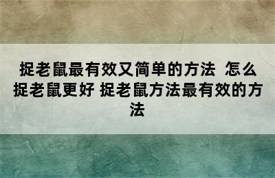 捉老鼠最有效又简单的方法  怎么捉老鼠更好 捉老鼠方法最有效的方法